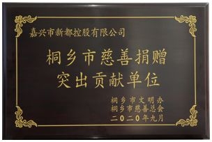 桐鄉(xiāng)市慈善捐贈突出貢獻(xiàn)單位